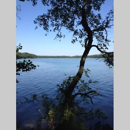 Fewo Waldblick Am See Potsdam