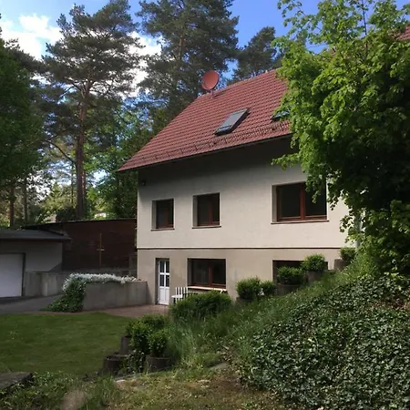 Fewo Waldblick Am See Apartment