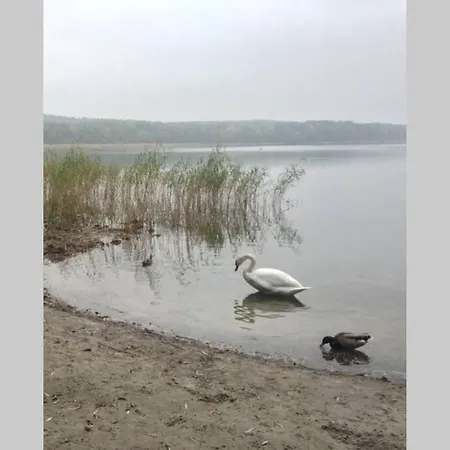 Fewo Waldblick Am See *
